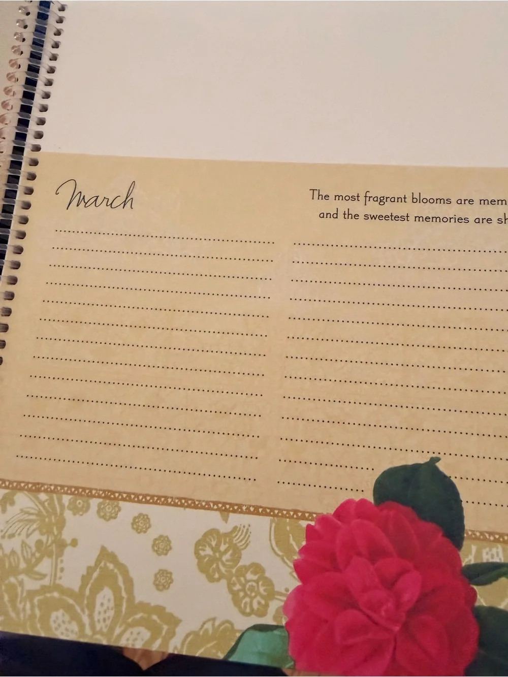 New special people, date, event reminder book. Never used. Holds cards to send